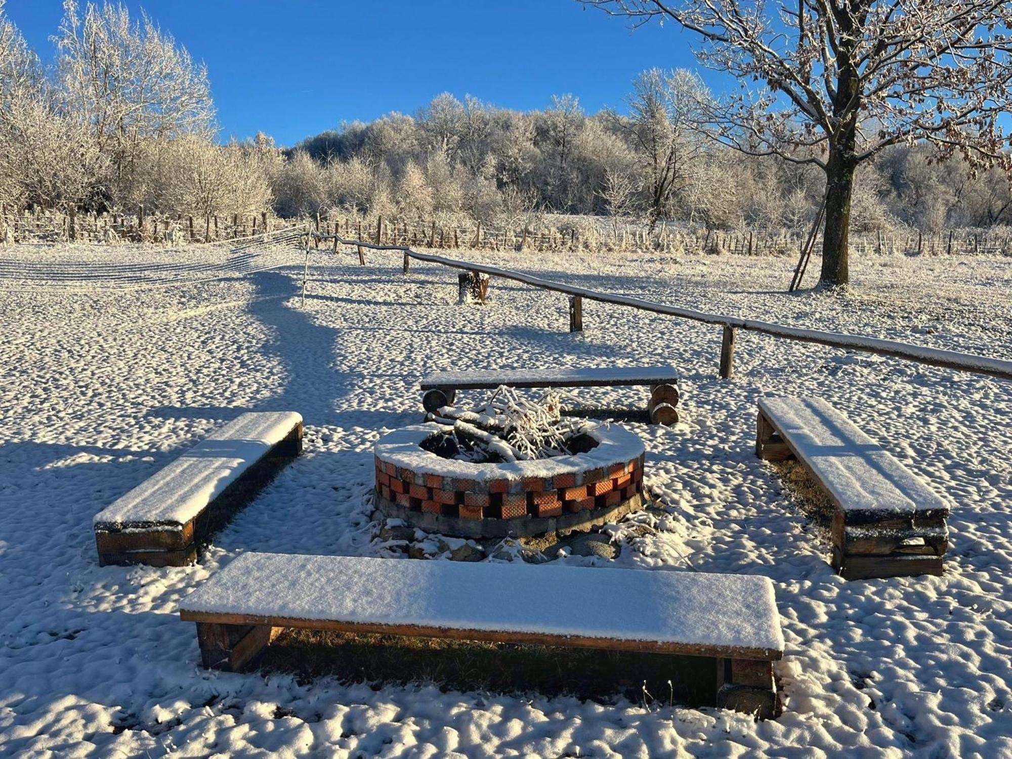 Casuta Din Stejari-transalpina